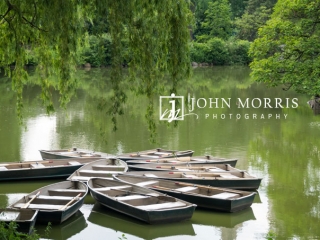Rowboats floating on a pond in Central park surround by trees