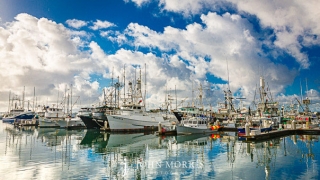 Cotton Candy Clouds over San Diego Fishing boats