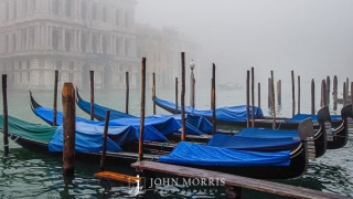 Venice Gondolas on a Foggy day